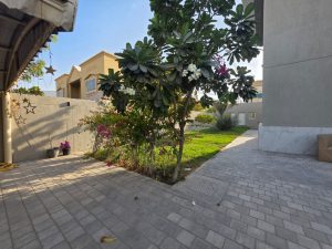 Side garden and outdoor walkway of a luxury villa in Jumeirah 3 Dubai